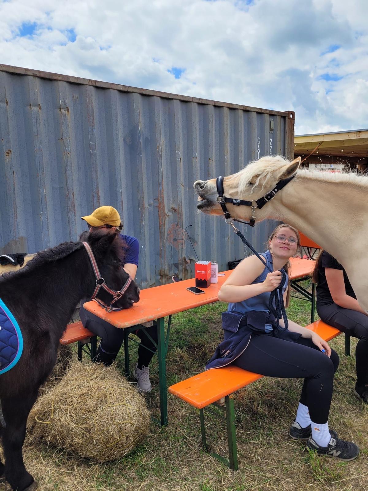 Ponyabenteuer in Taura