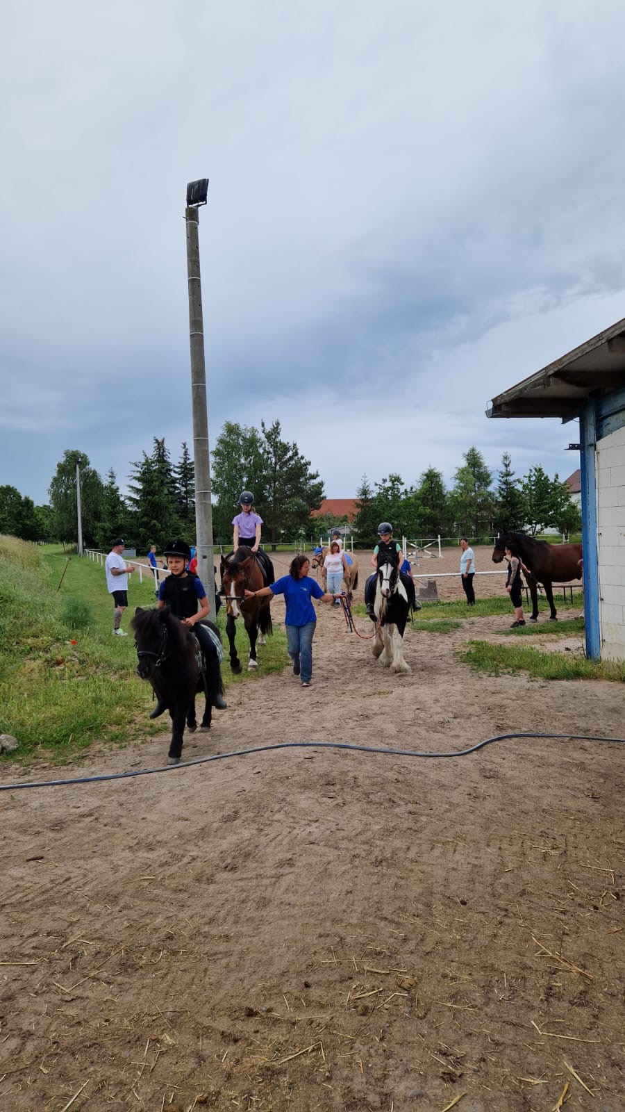 Geländeritt in die Dahlene Heide bei Taura